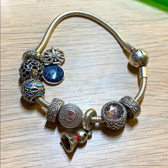 pandora charms and chain